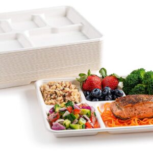 Compostable Trays